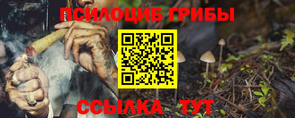 где продают   Вход с VPN  Родники  Псилоцибиновые грибы Psilocybine cubensis 
