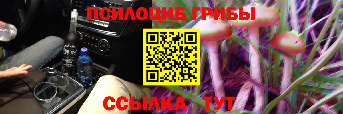 Галлюциногенные грибы мицелий Родники